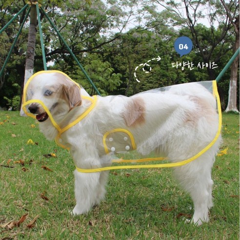 마요니즈 강아지 우비 깊고 투명한 모자 강아지 EVA 투명 우비 리드줄 구멍 레인코트