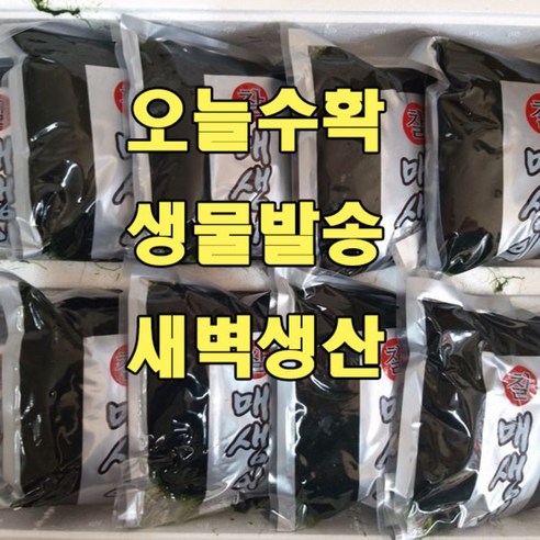 전남 완도 약산 햇 매생이, 370g~400g, 10개