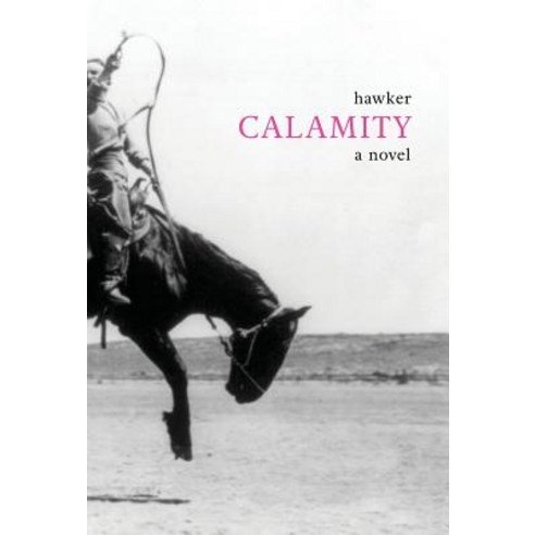 (영문도서) Calamity Hardcover, Running Rabbit Press LLC, English, 9781947174238