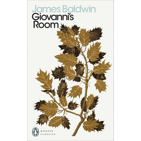 Giovanni's Room, James Baldwin(저),Penguin Boo.., Penguin Books, Limited (UK)