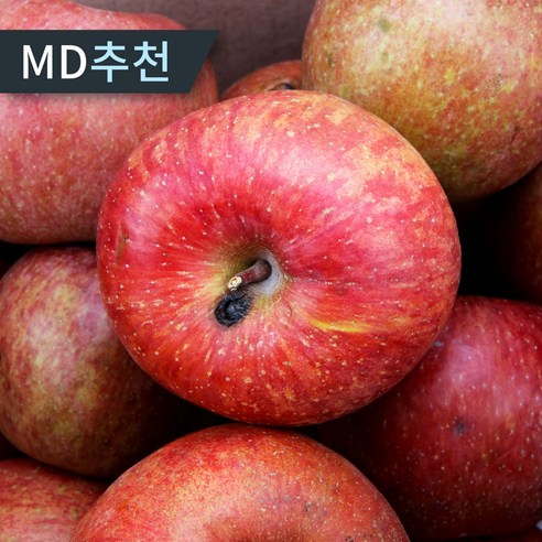 [한정특가] 맛있는 경북 사과 산지직송 못난이 주스용 부사사과