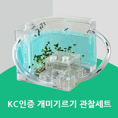 KC인증 개미집 곤충 관찰 세트 개미집세트