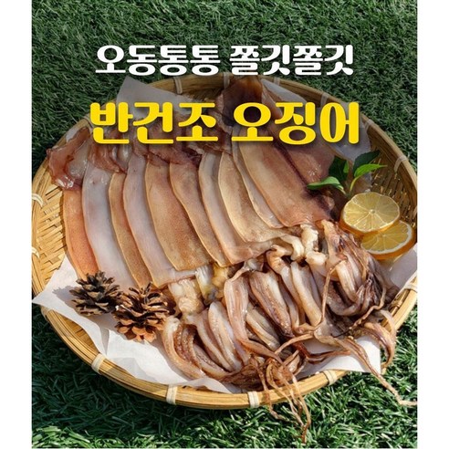 원양산 초코 반건조 오징어, 대 550g 내외, 5미입, 1개 울릉도반건조오징어 원양산 초코 반건조 오징어, 대 550g 내외, 5미입, 1개 울릉도반건조오징어
