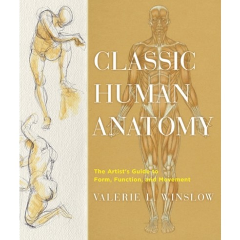 (영문도서) Classic Human Anatomy: The Artist''s Guide to Form Function and Movement Hardcover, Watson-Guptill, English, 9780823024155
