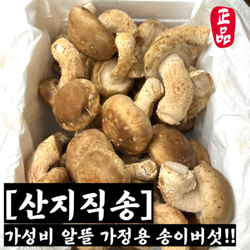 [산지직송] 국내산 가정용 참송이버섯 1kg 2kg / 송이버섯 자연산송이버섯 버섯송이 송이버섯국산자연산 자연산송이 참송이 송이버섯국산 송이버섯1kg 송이버섯2kg 송이버섯1키로, 1개