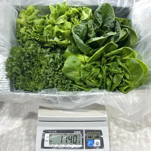 자연의 싱그러움을 식탁으로, 건강한 샐러드 한 접시