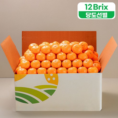 프루미츠 중문농협 당도선별 타이벡 감귤 9kg 선물세트 (당도 12brix 이상), 1box