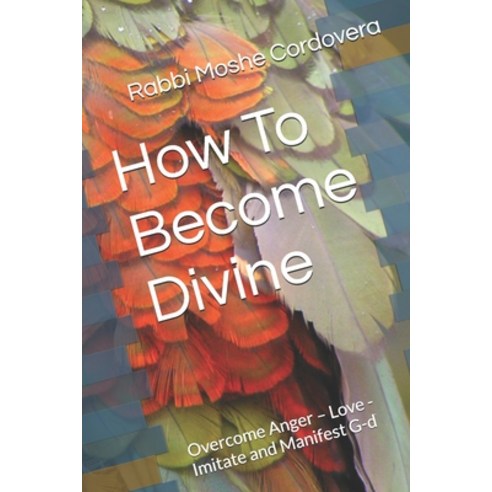 (영문도서) How To Become Divine: Overcome Anger - Love - Imitate and Manifest G-d Paperback, Independently Published, English, 9798328884938