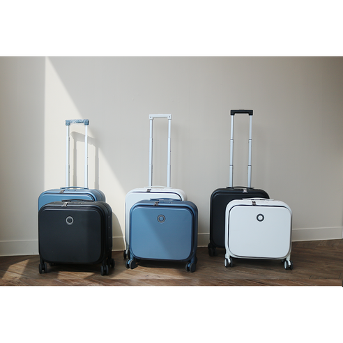 소형 애완동물을 위한 편안하고 안전한 이동을 위한 최고의 미니캐리어