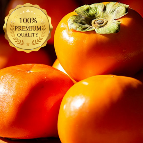 [재구매1등] 최고급 단감 농장직송 감동팜, 5kg 중과 23~..., 1개