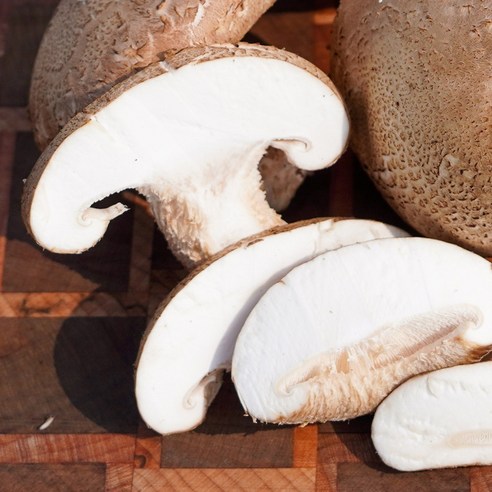 자연의 숨결을 담은 건강한 밥상, 무농약 생표고버섯 슬라이스로 완성하세요