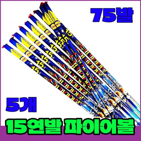 화려한 불꽃놀이 선물세트