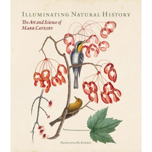 Illuminating Natural History: The Art and Science of Mark Catesby Hardcover, Paul Mellon Centre, English, 9781913107192