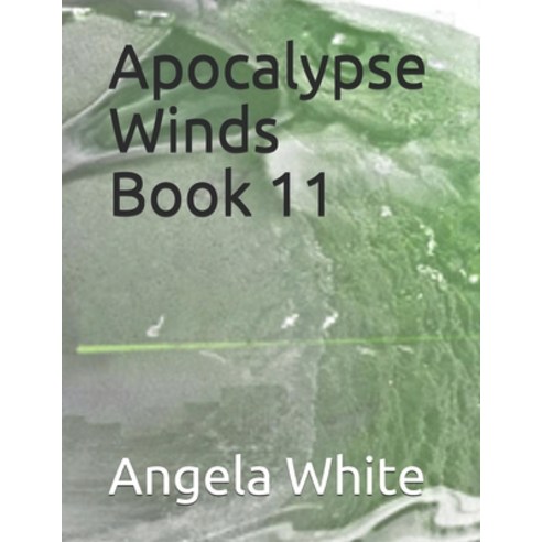 Apocalypse Winds Paperback, Independently Published, English, 9798564195874