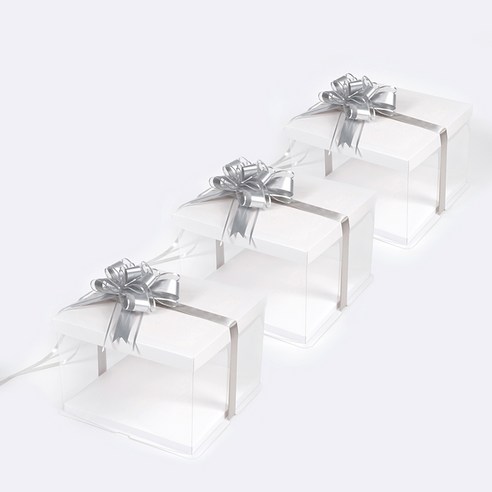 star starred 투명 케이크 상자 흰 뚜껑 올인클루시브, 1개