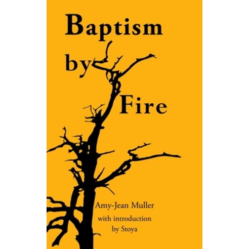 Baptism by Fire Paperback, Independently Published, English, 9798589359893