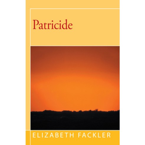 (영문도서) Patricide Paperback, Open Road Distribution, English, 9781504029803