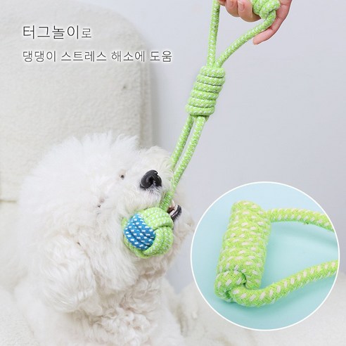 강아지의 자연스러운 놀이 욕구를 충족시키는 최적의 장난감 세트