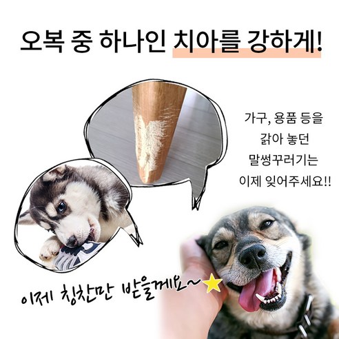 강아지의 치아 건강, 스트레스 해소, 전반적인 안녕을 위한 필수품