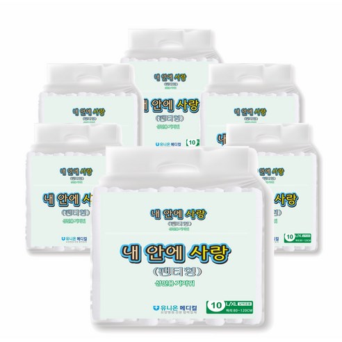 내안에사랑 남녀공용 성인기저귀 팬티형, 대형, 10개입, 6개