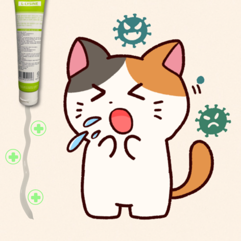 고양이감기 고양이 허피스 엘라이신 락토페린, 1+1 할인세트