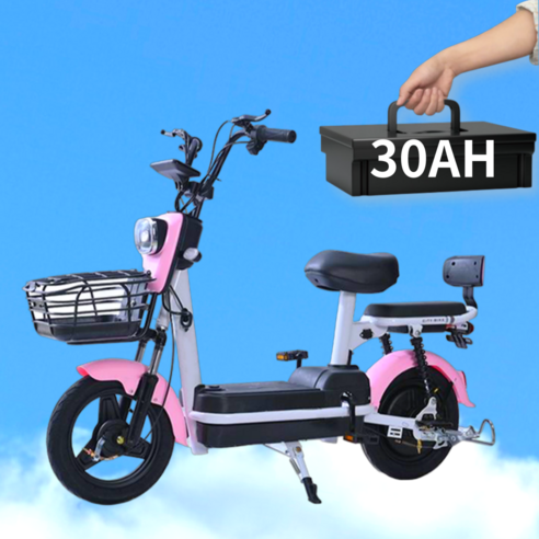 롤리버디 전동스쿠터 전기 자전거 출퇴근용