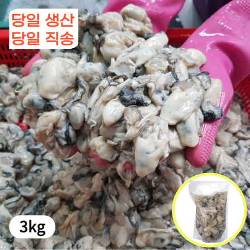 1급청정해수 통영 생 굴 산지직송, 1박스, 2kg 산지직송오징어