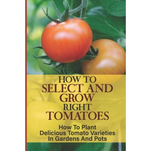 (영문도서) How To Select And Grow Right Tomatoes: How To Plant Delicious Tomato Varieties In Gardens And... Paperback, Independently Published, English, 9798459620092