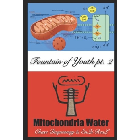 (영문도서) Mitochondria Water: Fountain of Youth pt. 2 Paperback, Independently Published, English, 9798322311454