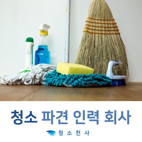 이사갈집청소 락스욕실청소 청소파출부고용 자취방거주청소 자취방장판청소 원룸거주청소 원룸청소이모님 원룸미백청소 - 먼지제거젤 | 쿠팡