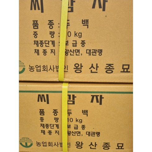 강원도 수미감자 씨감자로 풍성한 텃밭을 가꾸세요!