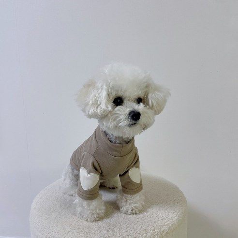 플라이업 강아지 하트 포인트 심플 티셔츠, 1개, 브라운