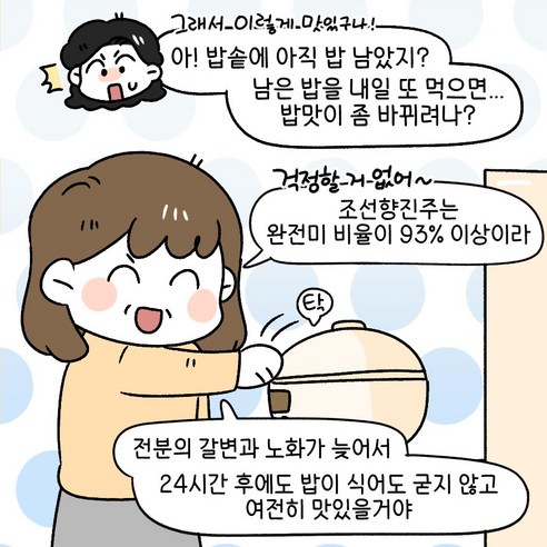 [신품종]조선향미 조선향진주 8kg1포 최고급품종 맛있는쌀, 8kg, 1개