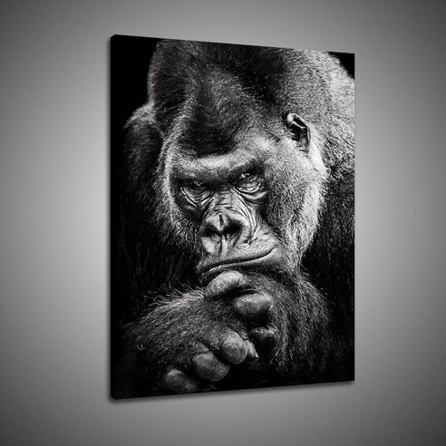 (프레임 없음) 고릴라 동물 벽 아트 포스터 HD 인쇄 캔버스 유화 거실 장식