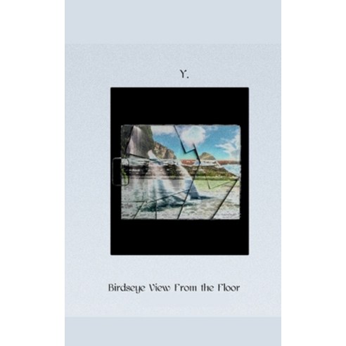 (영문도서) Birds-eye View From the Floor Paperback, Bookleaf Publishing, English, 9789357447027