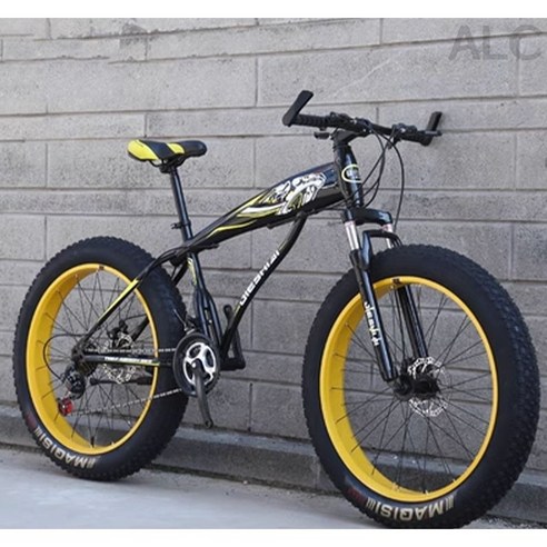 펫바이크 4.0: MTB 초보자를 위한 안정적이고 편안한 광폭 타이어 자전거