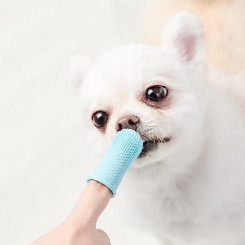 강아지의 구강 건강을 유지하는 데 도움이 되는 고품질 손가락 зуб 세트를 찾고 계십니까?