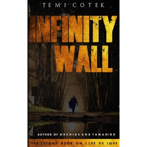 Infinity Wall: The Second Book on Life vs Love Paperback, Independently Published, English, 9798575471462