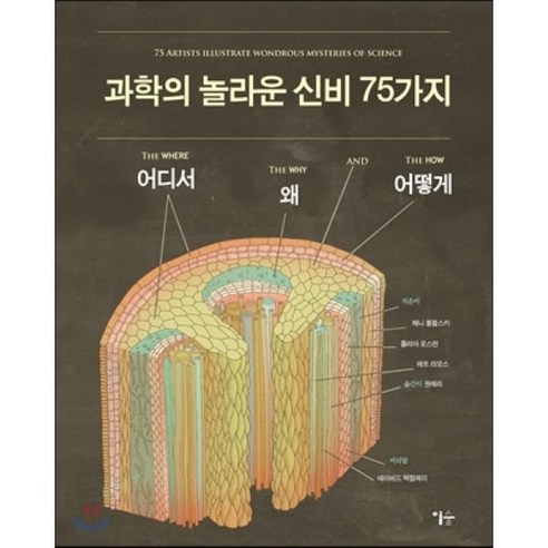 과학의 놀라운 신비 75가지, 이숲, 줄리아 로스먼(Julia Rothman)