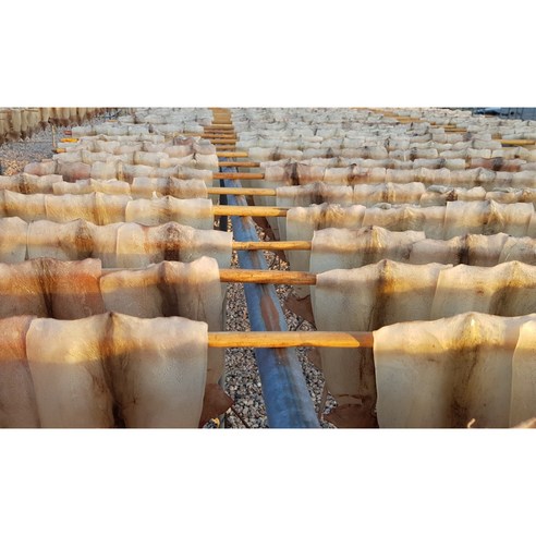 오징어의 진정한 장인, 천해수산의 마른오징어: 부드러움, 맛, 전통