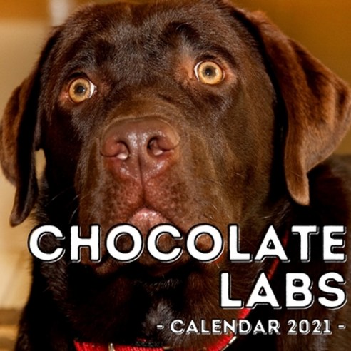 (영문도서) Chocolate Labs Calendar 2021: 16-Month Calendar Cute Gift Idea For Labrador Retriever Lovers... Paperback, Independently Published, English, 9798502617505