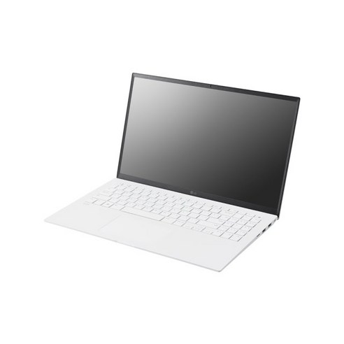 인강용 노트북의 새로운 기준: LG 그램 13세대