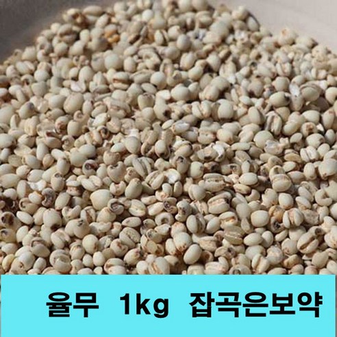 잡곡은보약 율무 국산 2022년산 율무쌀 국내산 햇율무 2kg 1kg선택, 1개, 1kg 2023국산율무 Best Top5