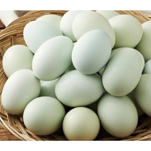 자연을 품은 신선함, 청계란으로 특별한 아침을!