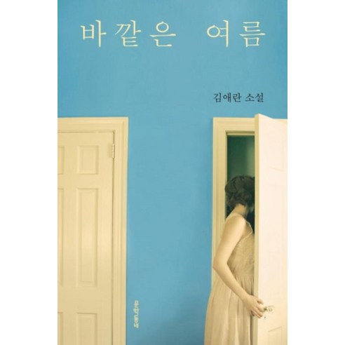 바깥은 여름, 김애란, 문학동네