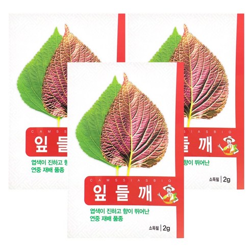 잎들깨 깻잎 씨앗 3개입, 1개