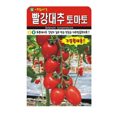 빨강대추토마토 씨앗, 1개