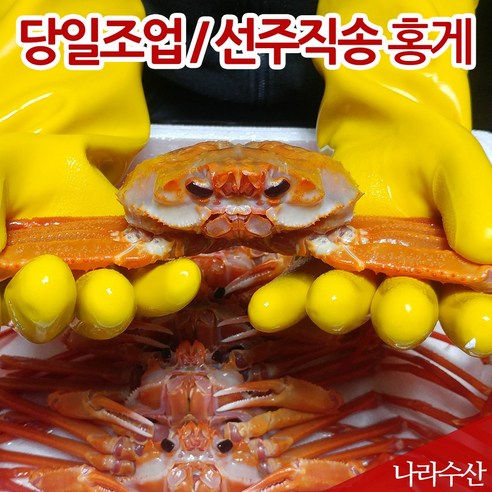 산지 직송 국산 영덕 대게 박달 홍게, 1개, 10_실속자숙홍게3kg(9~12마리)