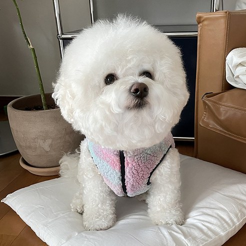 바이담수미 강아지 지퍼포인트 후리스, 핑크, 1개