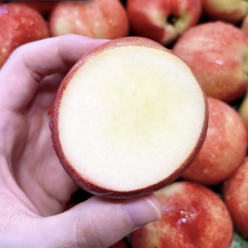 [한정수량특가] 꿀당도 과즙폭발 천상의맛 신비복숭아, 1박스, 신비 특품 2kg 중소과